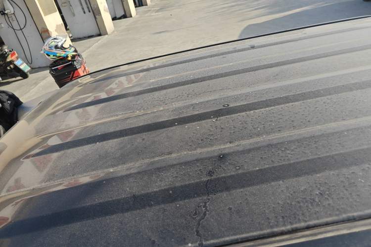 Used  Panda 2023 Panda Mini 200km Endurance Bear
