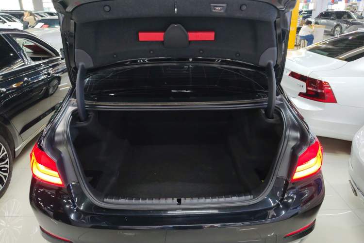 Used BMW 5 Series 2020 530Li Leading Edition Luxury Package