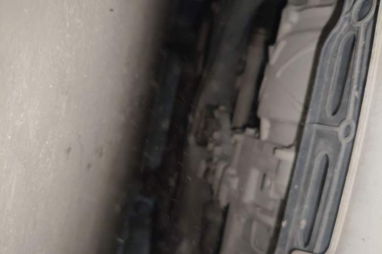 Used ORA White Cat 2020 305 km Luxury Version
