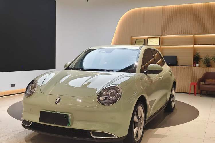 Used ORA Good Cat 2022 400km Standard Range Luxury Version Lithium Iron Phosphate
