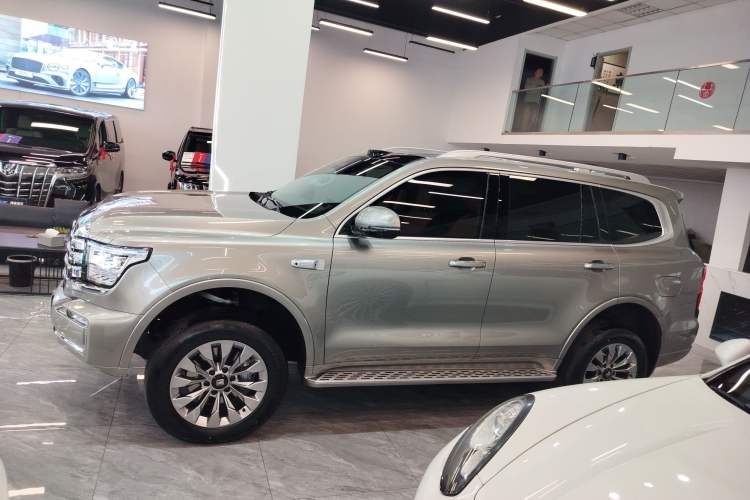 Used Tank 500 New Energy 
