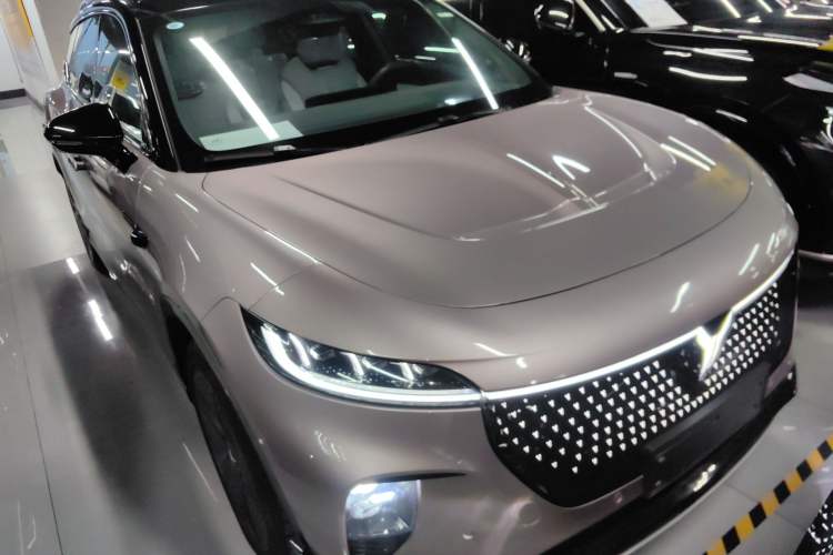 Used VOYAH COURAGE 2024 Four-Wheel Drive Global Edition