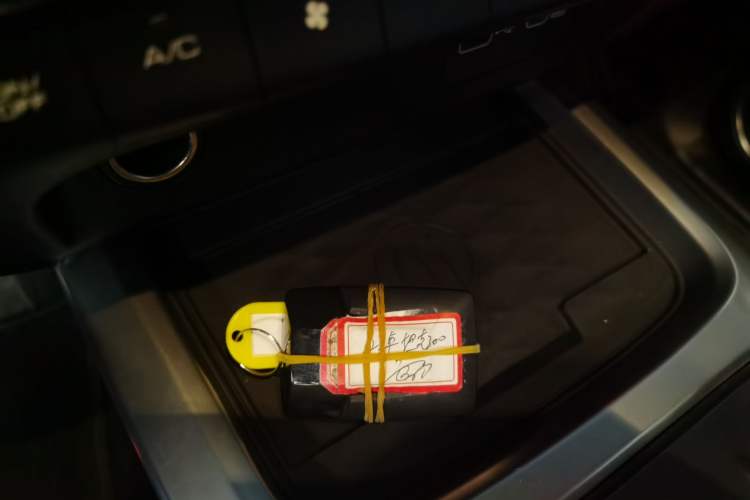 Used Tank 300 2023 City Edition 2.0T—Stylish as Ever
