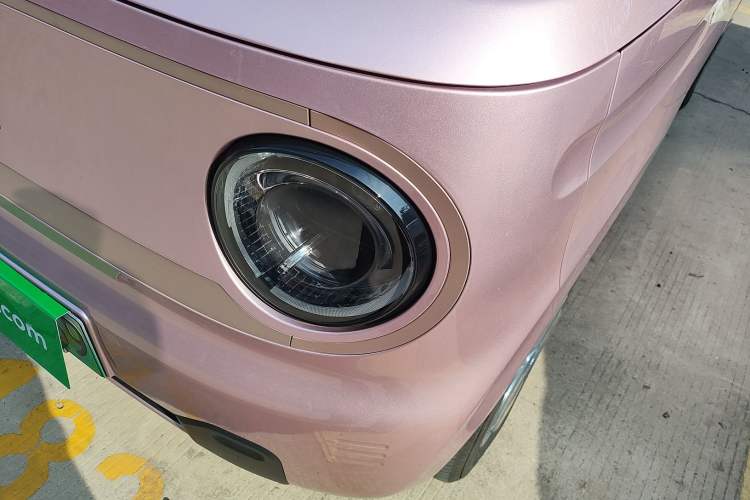 Used  Panda 2023 Panda Mini 200km Endurance Bear
