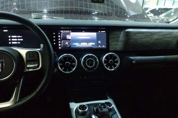 Used Tank 300 2024 2.0T Conqueror
