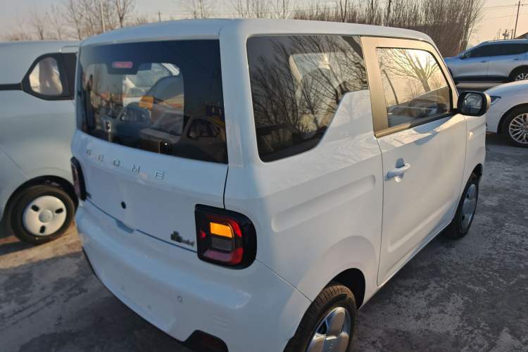 Used  Panda 2024 Panda Mini 200km Endurance Bear