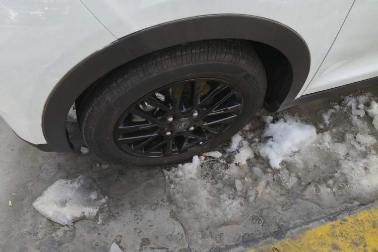 Used Chery Little Ant 2024 Facelifted 321km Beloved Edition