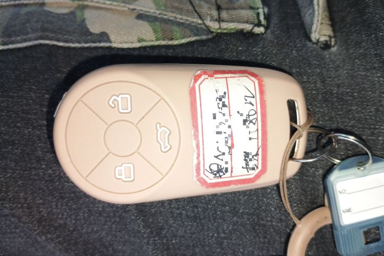 Used ORA Good Cat 2022 Morandi Edition 400km Standard Range Luxury Version Lithium Iron Phosphate
