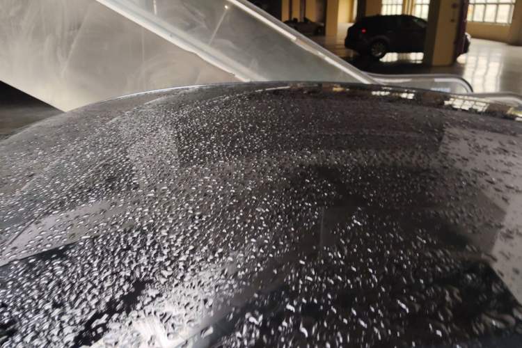 Used Tesla Model Y 2025 Rear-Wheel-Drive Version