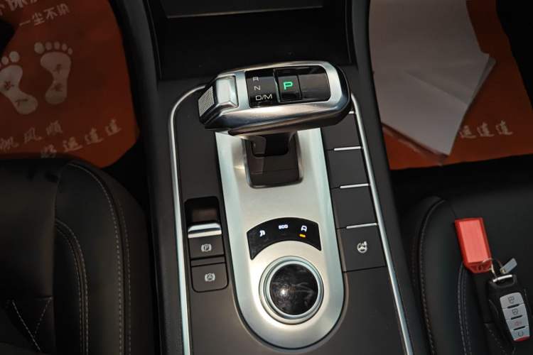 Used Great Wall Poer 2019 2.0T Automatic Gasoline Two-Wheel Drive Comfort Edition GW4C20B
