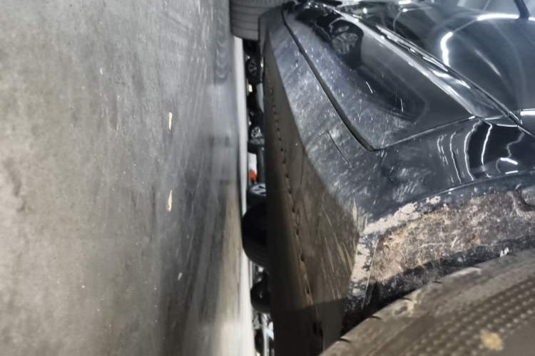 Used  07 2024 Pro Pure Electric Version
