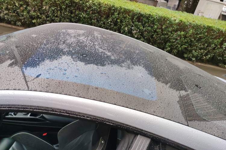 Used NETA GT 2023 560