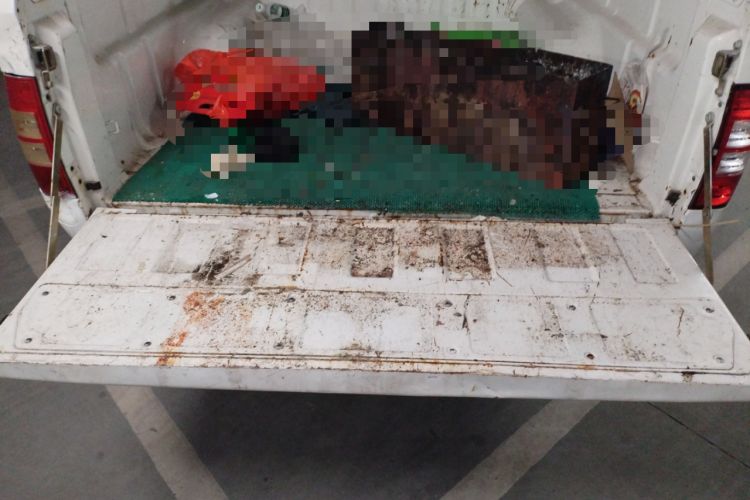 Used Chana Shenqi F30 2018 1.5L Standard Version with Air Conditioning Short Wheelbase DAM15L