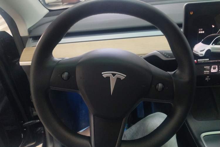 Used Tesla Model Y 2021 Standard Range Rear-Wheel Drive Version