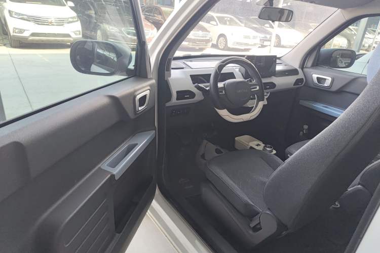 Used  Panda 2024 Panda Mini 200km Endurance Bear