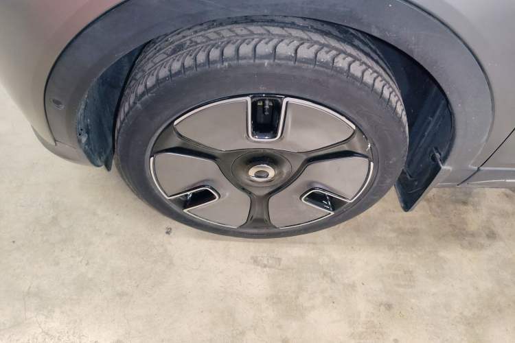 Used  #1 2022 Premium Edition
