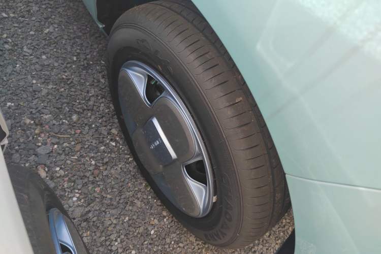 Used  Panda 2024 Panda Mini 200km Endurance Bear