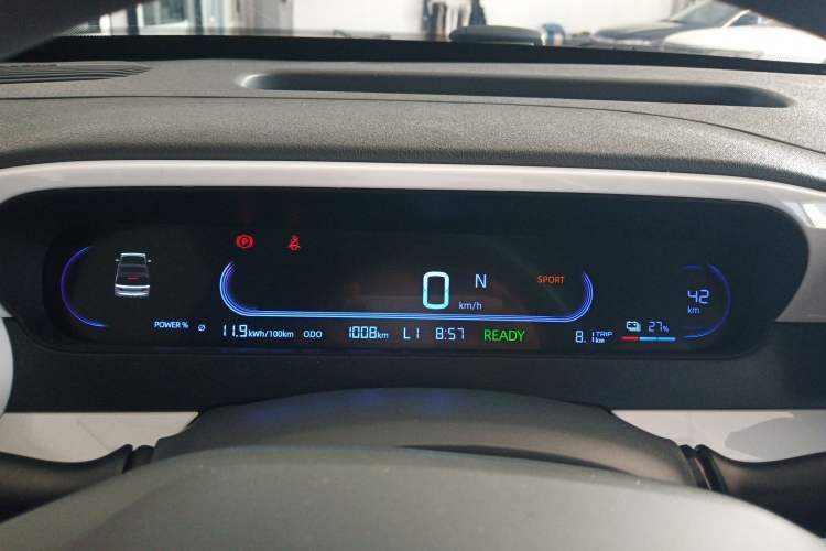 Used  Panda 2025 210 km – Yuanqi Bear
