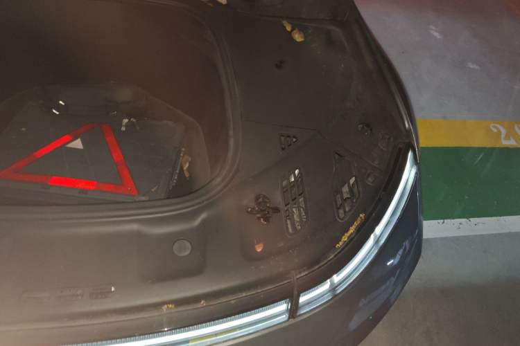 Used XPeng P7 2022 670N+
