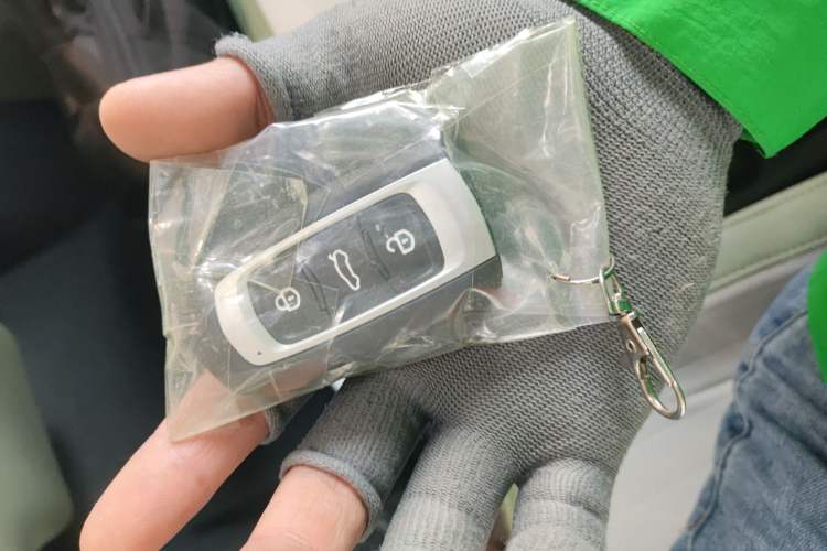 Used  Panda 2025 210 km – Yuanqi Bear
