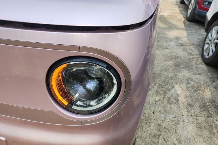 Used  Panda 2023 Panda Mini 200km Endurance Bear
