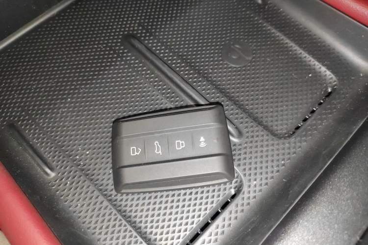 Used Tank 300 2025 2.0T Conqueror
