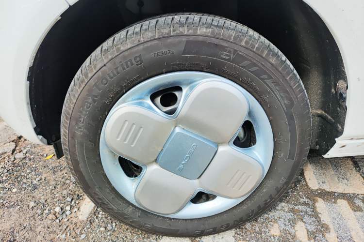 Used  Panda 2024 Panda Mini 200km Endurance Bear
