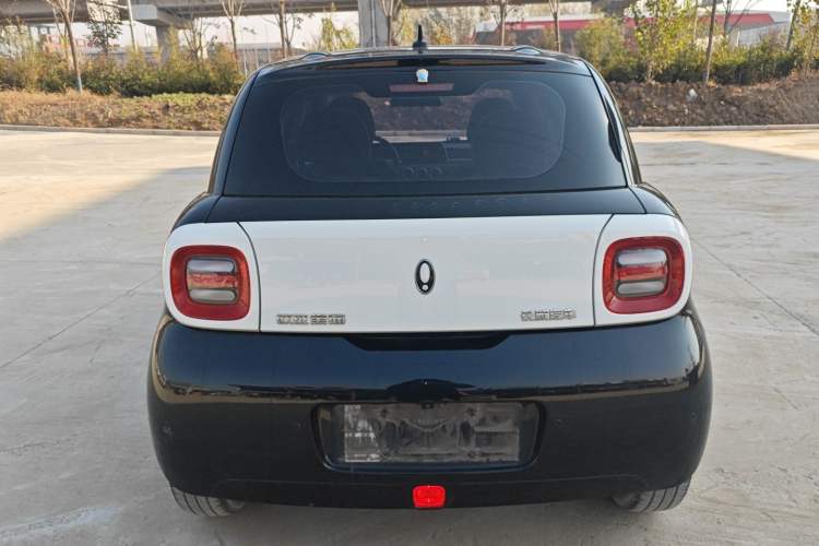 Used ORA Black Cat 2022 351 km Range Comfort Version Ternary Lithium
