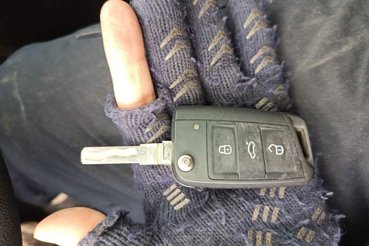 Used Skoda Octavia 2019 TSI230 DSG Luxury Edition