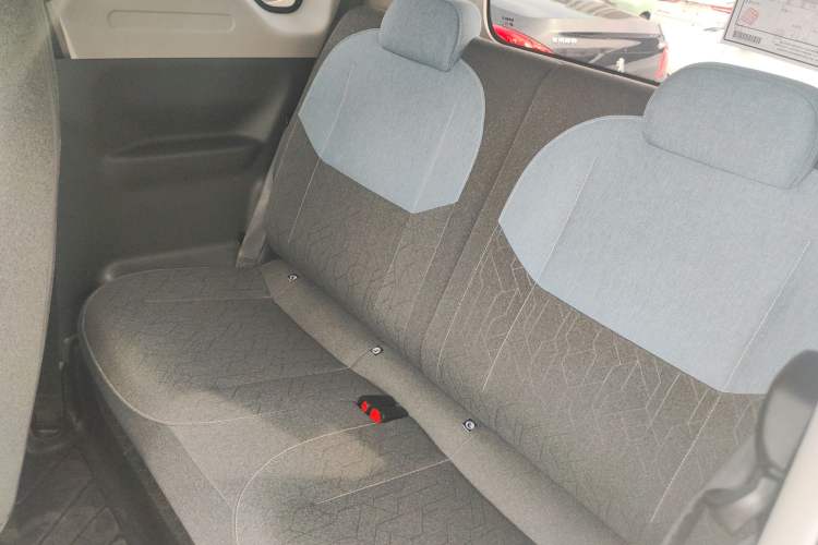 Used  Panda 2024 Panda Mini 200km Endurance Bear
