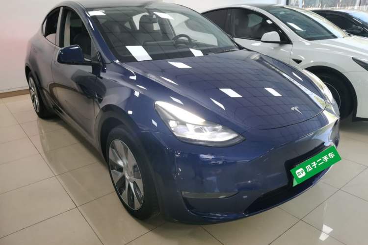Used Tesla Model Y 2021 Standard Range Rear-Wheel Drive Version
