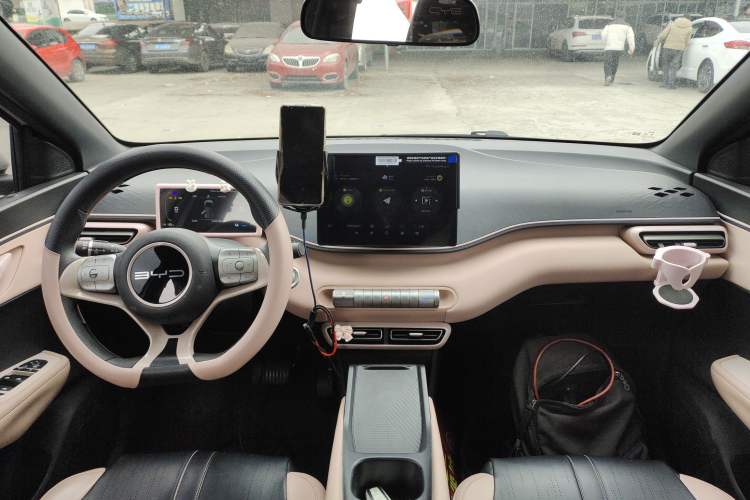 Used BYD Seagull 2023 Active Version
