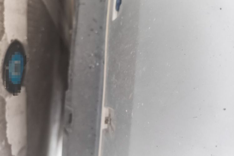 Used Haval H6 Coupe 2016 Blue Label 1.5T Automatic Two-Wheel Drive Elite Model
