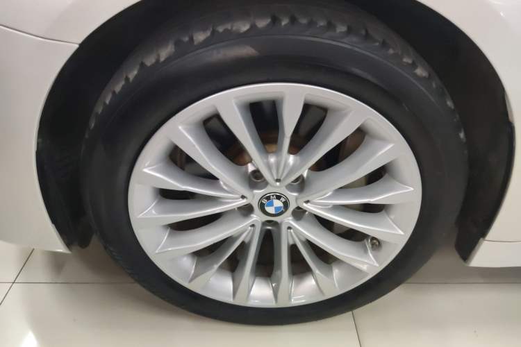 Used BMW 5 Series New Energy 2020 530Le Luxury Package
