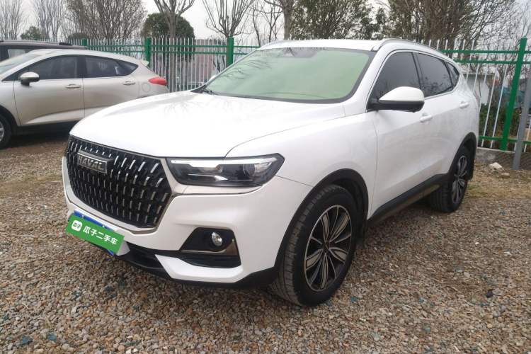 Used Haval H6 2023 National Trend Edition 1.5T Automatic Champion Version
