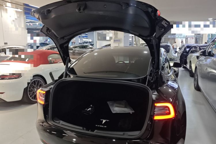 Used Tesla Model 3 2021 Standard Range Rear-Wheel Drive Upgraded Version 3D6
