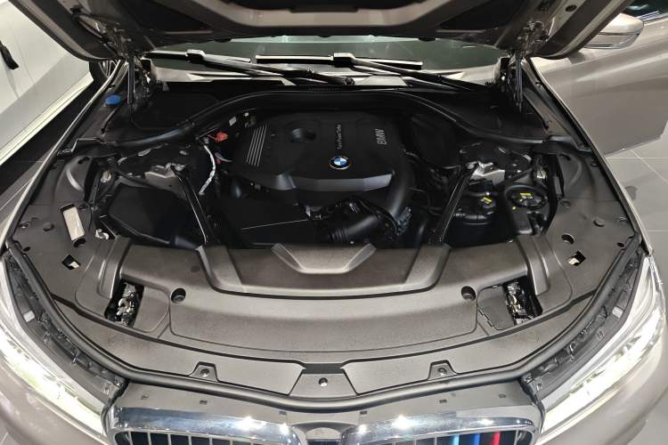 Used BMW 7 Series 2016 730Li Leading Model
