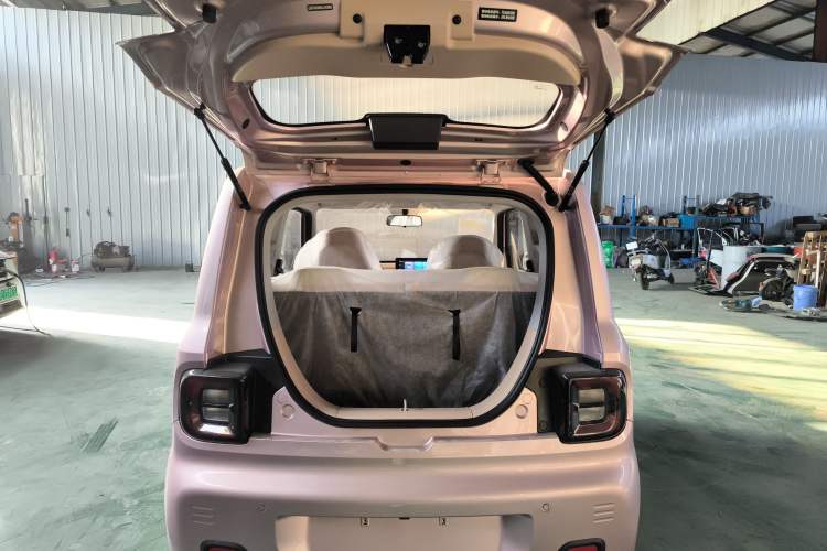 Used  Panda 2024 Panda Mini 200km Endurance Bear
