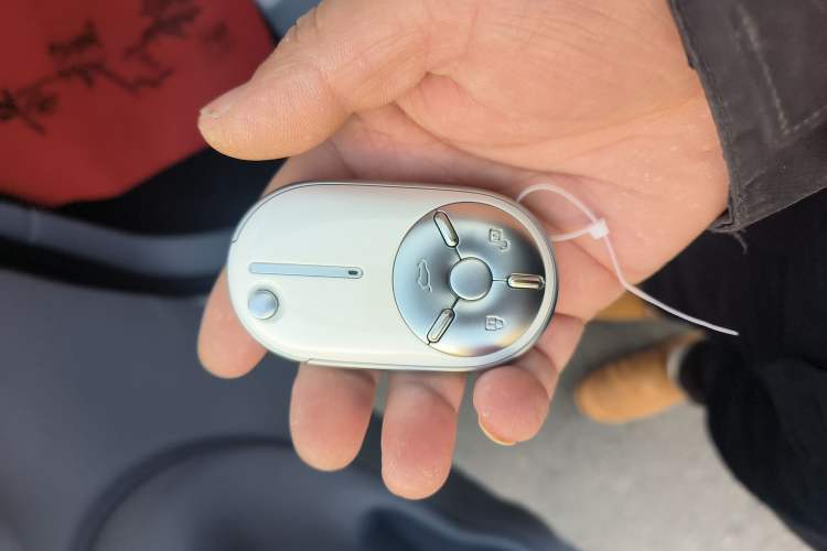 Used Bestune Pony 2025 222km Range Agile Horse