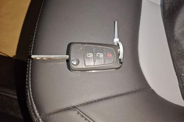 Used Great Wall Wingle 5 2023 2.4L Gasoline Two-Wheel-Drive Entry-Level Big Double
