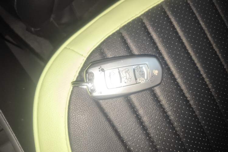 Used  Panda 2023 Panda Mini 200km Dynamic Bear
