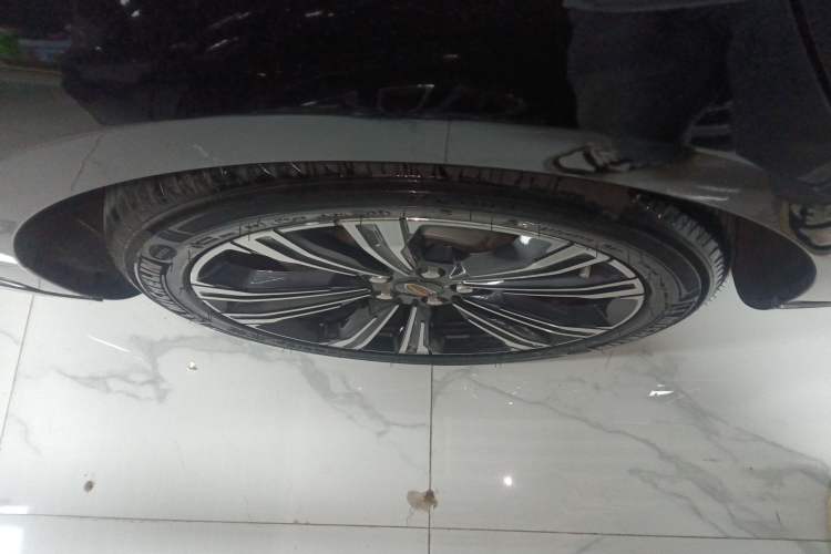 Used Hongqi H9 2024 2.0T Qichang Private Enjoyment Luxury Edition