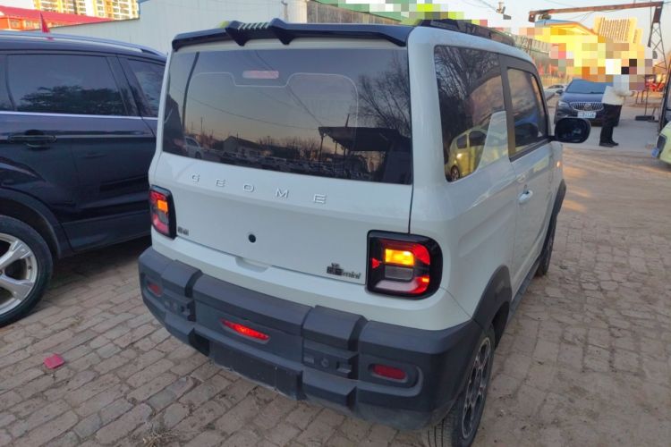 Used  Panda 2024 200km Panda Rider