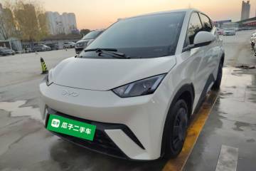 Used BYD Seagull 2025 305km Active Version