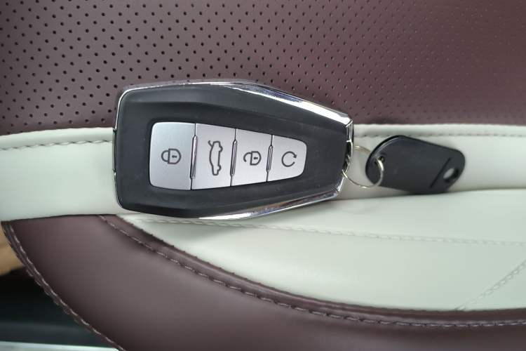 Used Geely Auto Monjaro L 2021 2.0TD DCT EVO Two-Wheel Drive Prestige Version
