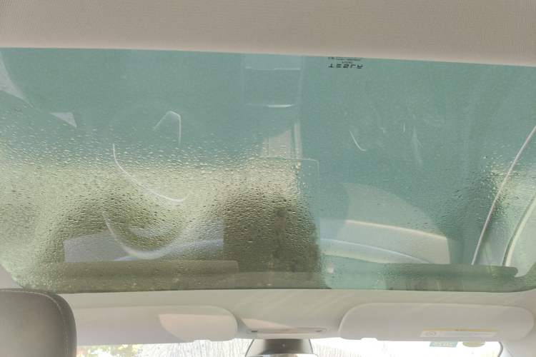 Used Tesla Model 3 2023 Rear-Wheel-Drive Version
