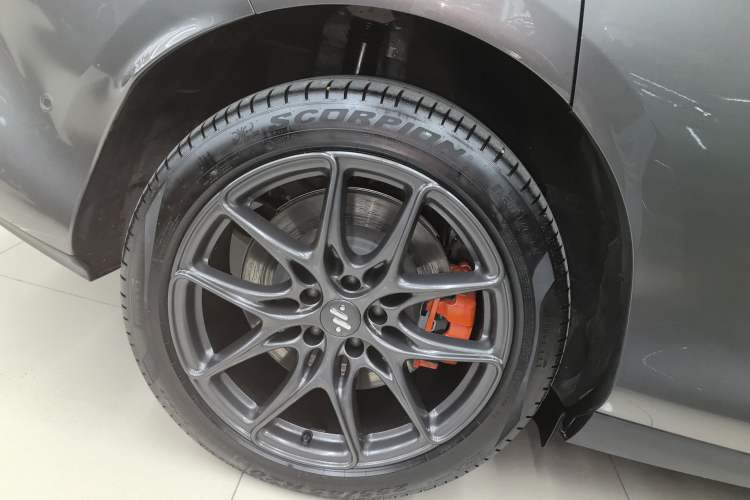 Used  LS6 2023 Max Long-Range Version
