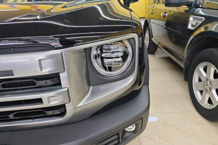 Used Haval DARGO 2024 2.0T DCT Chinese Rural Dog Edition
