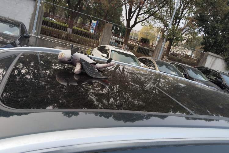 Used Chery Tiggo 8 PRO 2022 290T Two-Wheel Drive Haohan Edition 7 Seats
