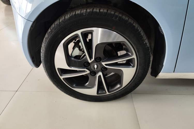 Used ORA Black Cat 2022 351 km Comfort Version Ternary Lithium
